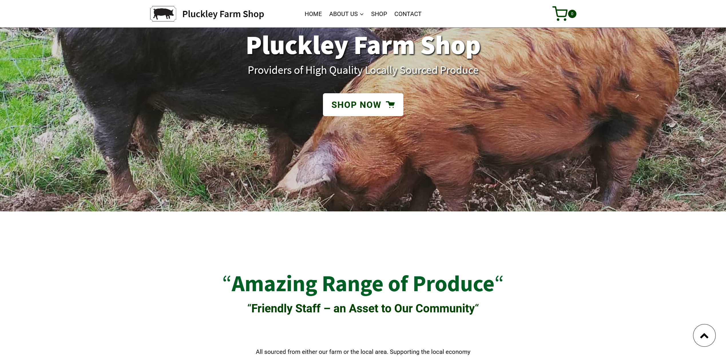 pluckley home snap shot
